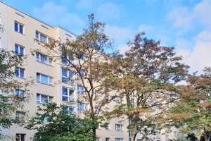 Wenig Treppensteigen nötig! 3-Zimmer-Wohnung im 1. OG! Wir renovieren! – Robinienstraße 20, 1169 Gorbitz-Süd, Dresden – Vorschaubild 9