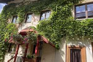 Seminarhaus mit traumhaften Belchenblick: 2-Familienhaus mit grossem Garten in Elbenschwand – Elbenschwander Ortsstraße 9, 79692 Lörrach (Kreis) – Vorschaubild 58
