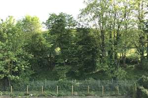 Sanierte 75 qm - 2-Zimmer-ETW mit sep. Eingang und kleinem Garten im 6-Familienhaus am Schölerberg