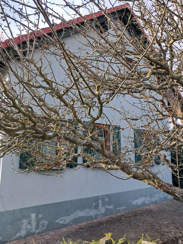 Immobilie in Eisenhüttenstadt - Klasse Gelegenheit für 2 Generationen oder die kleine Familie! - Bild 3