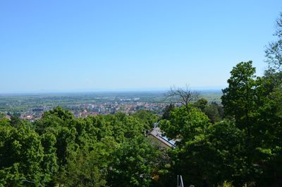 Helle 2-ZKB mit tollem Ausblick in die Rheinebene, Tiefgarage & Keller | DÜW-Seebach