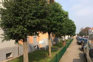 Zur Angebotsübersicht helle 3-Zimmer-Wohnung mit Balkon in guter Lage ruhig und grün – Rostocker Straße 23, 39124 Neue Neustadt, Magdeburg – Vorschaubild 2
