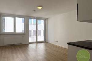 ** ApartmentTRAUM **  Einbauküche ** inkl. WLAN ** zentrale Lage  ** direkte U-Bahn-Anbindung** – Wölckernstr. 8, 90459 Galgenhof, Nürnberg – Vorschaubild 1