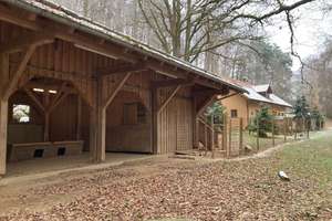 Bayern, Oberpfalz, nahe Zell - Wohnhaus mit Bach, Schwimmteich und Offenstall für Pferde – Die vollständige Adresse der Immobilie erhältst du vom Anbieter., 93199 Zell – Vorschaubild 2