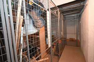 Property thumbnail 28