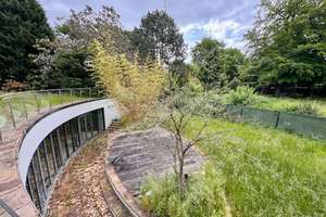 Repräsentative Landhausvilla auf parkähnlichem Grundstück in Bestlage! – Die vollständige Adresse der Immobilie erhältst du vom Anbieter., 47800 Bockum, Krefeld – Vorschaubild 13