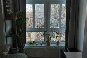 2-Zimmer-Wohnung in Nippes bis 2027 (Übernahme ggf. möglich) – Neusser Straße XXX, 50733 Nippes (Ortsteil), Köln – Vorschaubild 3