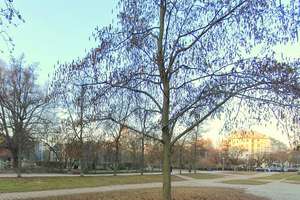 Property thumbnail 1