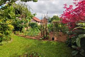 BRUMANI | vielseitiges Haus mit Garten und Blick auf den Rhein in Rhinau (F) – Ortenaukreis – Vorschaubild 6