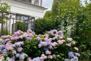 Juwel im Herzogpark – Die vollständige Adresse der Immobilie erhältst du vom Anbieter., 81925 Herzogpark, München – Vorschaubild 3