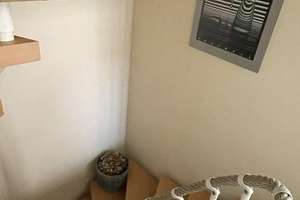 Doppelhaushälfte - von Privat - ruhig und naturnah- in Hannover Badenstedt – Die vollständige Adresse der Immobilie erhältst du vom Anbieter., 30455 Badenstedt, Hannover – Vorschaubild 29