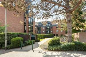 Property thumbnail 16