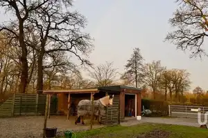 "Einzigartiges Landhaus in Schirum mit Weide – Ein Platz für Naturfreunde und Tierliebhaber" – Aurich (Kreis) – Vorschaubild 6