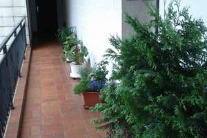 Neuer Job - neues Zuhause - möbl. helles Appartement !!! – Kronprinzenstrasse °, 40219 Unterbilk, Düsseldorf – Vorschaubild 6