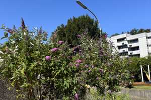 EXKLUSIV SANIERTE WOHNUNG MIT WUNDERSCHÖNEM AUSBLICK - ERSTBEZUG – Irgenhöhe 24, 66119 Stadtverband Saarbrücken (Kreis) – Vorschaubild 7