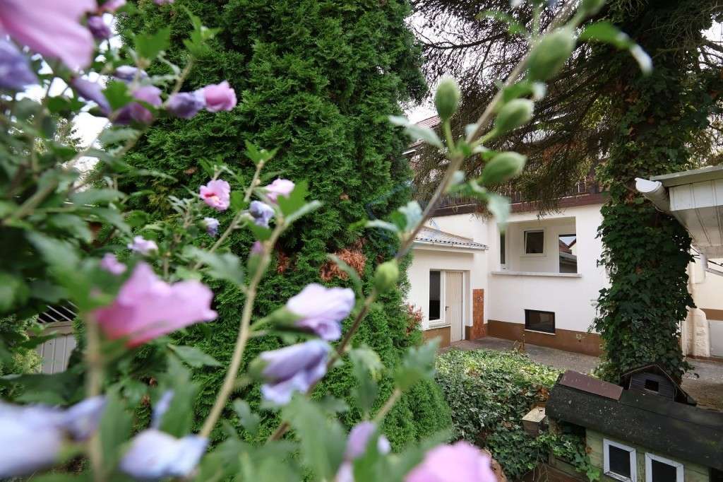 Immobilie in Reinheim - EINZIEHEN & AUFBLÜHEN! - Bild 0