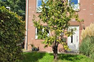 Property thumbnail 2