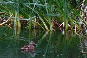 Property thumbnail 16