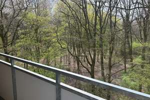 Hannover Ledeburg - Stöcken - Provisionsfrei! Modernisierte 2-Zimmer Eigentumswohnung - sofort frei! – Baldeniusstrasse 35, 30419 Ledeburg, Hannover – Vorschaubild 13