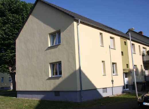 Single bergheim erft
