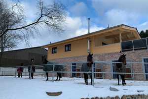 Exklusives Objekt für Pferdeliebhaber oder Hobbybetriebsstätte mit Wohnhaus im DG = in ruhiger Lage – Up´n Barg 10b, 22926 Stormarn (Kreis) – Vorschaubild 16