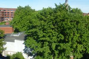 Ravensberg : Traum-Maisonette mit Blick über ganz Kiel, EBK / Balkon, Holzboden Dusche – Die vollständige Adresse der Immobilie erhältst du vom Anbieter., 24105 Ravensberg, Kiel – Vorschaubild 26