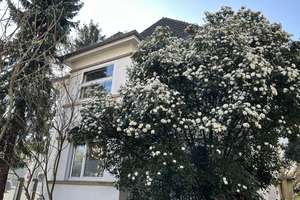 Hochparterrewohnung mit Garten – mit etwas Liebe erstrahlt sie als Schmuckstück, 1 Stellplatz – Die vollständige Adresse der Immobilie erhältst du vom Anbieter., 69115 Weststadt, Heidelberg – Vorschaubild 20
