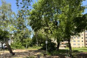 Geräumige 2 Zimmerwohnung mit Balkon - frisch saniert!! – Gerhart-Hauptmann-Straße 2, 47226 Rheinhausen-Mitte, Duisburg – Vorschaubild 10