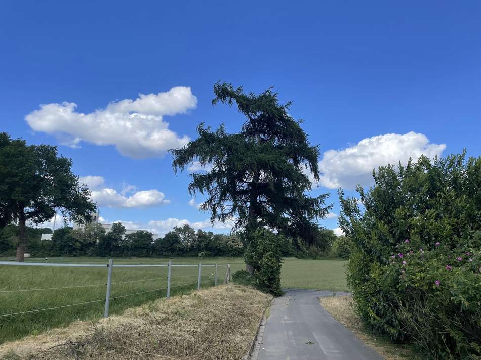 Umgebungsfoto (3)