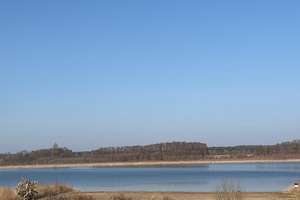 Property thumbnail 74