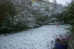 Zuhause mit 2 Zimmern und kleinem Garten, waldnah in Trudering – Hugo-Weiss-Straße 120, 81827 Waldtrudering, München – Vorschaubild 13