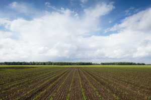 Freistehendes EFH mit Blick ins Hausner Moos – Hausen 26, 85551 München (Kreis) – Vorschaubild 18