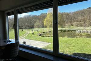 Naturidylle in Alleinlage, 4,7 ha – 55481 Kirchberg im Wald – Vorschaubild 6