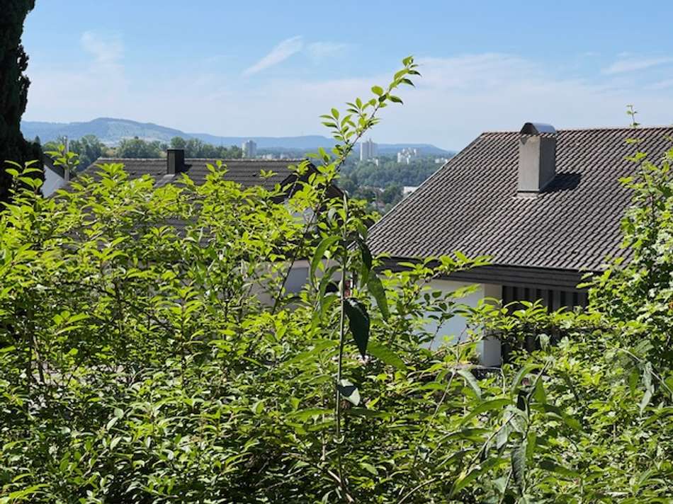 Fernblick vom Balkon EG