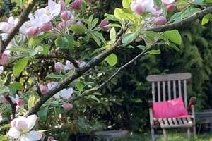 Charmante Jugendstilvilla mit Charakter und Gartenidylle in exklusiver Wohnlage Hamburg-Rahlstedts – Die vollständige Adresse der Immobilie erhältst du vom Anbieter., 22143 Rahlstedt, Hamburg – Vorschaubild 24