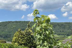 Schickes Ein-/Zweifamilienhaus in wunderbarer Lage von 52372 Kreuzau-Obermaubach – Die vollständige Adresse der Immobilie erhältst du vom Anbieter., 52372 Kreuzau – Vorschaubild 31