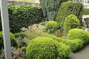 Schöner Wohnen im Altbau mit Wintergarten. Wohn-Oase im Bielefelder Westen / Schildesche. – Bielefeld – Vorschaubild 15