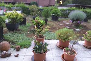 Smarter Wohnen!  Traumhafte, moderne 4-Zi.-Wohnung im EG mit fast 150 m² Garten und Terrasse!!! – Düsseldorfer Str. 26, 47239 Rumeln-Kaldenhausen, Duisburg – Vorschaubild 13
