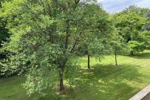 Eigentumswohnung in ruhiger Lage von Projensdorf – Charles-Roß-Ring 90, 24106 Wik, Kiel – Vorschaubild 18