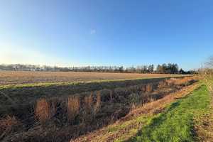 Reserviert! Neuwertiger Bungalow mit Erdwärmepumpe und Naturblick – Diepholz (Kreis) – Vorschaubild 33