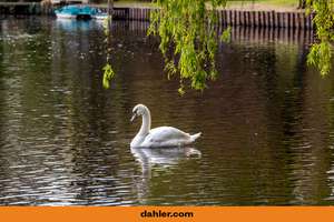Eigentumswohnung in Wasserlage! Mit wunderschönem Blick und Zugang zum Rondeelteich – Die vollständige Adresse der Immobilie erhältst du vom Anbieter., 22301 Winterhude, Hamburg – Vorschaubild 1