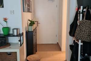 Alltagstaugliche 2-Zimmer-Wohnung mit Balkon in Berlin-Grünau – Regattastraße 74b, 12527 Grünau, Berlin – Vorschaubild 2