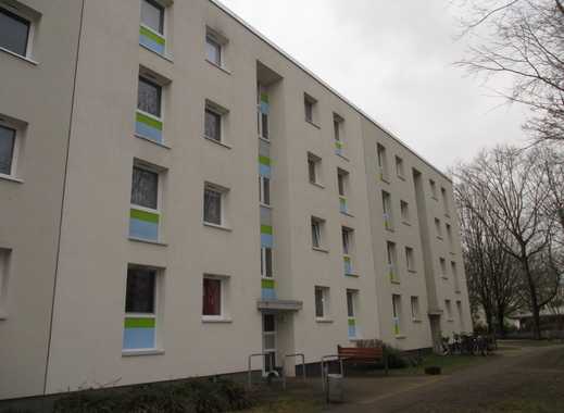 Single wohnung kreis pinneberg