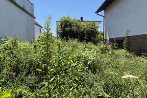 Solides, älteres  Wohnhaus mit Grund und Boden – Oberstraße 58, 64589 Stockstadt am Rhein – Vorschaubild 5