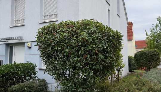 Bild von Modernes Reihenendhaus mit Garten in Frankfurt/Sindlingen