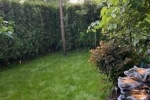 Property thumbnail 18