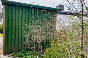 Sonniger Bungalow in ruhiger Sackgassenlage–altersgerechtes Wohnen in Brunsbüttel – Die vollständige Adresse der Immobilie erhältst du vom Anbieter., 25541 Brunsbüttel – Vorschaubild 19