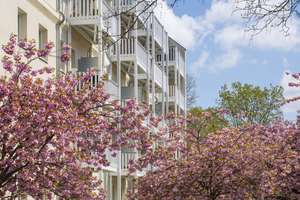 Property thumbnail 5