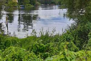 Seltene Wasserlage in Potsdam - Einfamilienhaus mit Steg & Seeblick – Die vollständige Adresse der Immobilie erhältst du vom Anbieter., 14476 Neu Fahrland, Potsdam – Vorschaubild 6