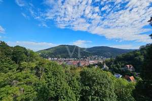 Neuer Preis: Historisches Kulturdenkmal in Heidelberg – 4 Wohneinheiten, davon 3 leerstehend – Die vollständige Adresse der Immobilie erhältst du vom Anbieter., 69117 Altstadt, Heidelberg – Vorschaubild 12